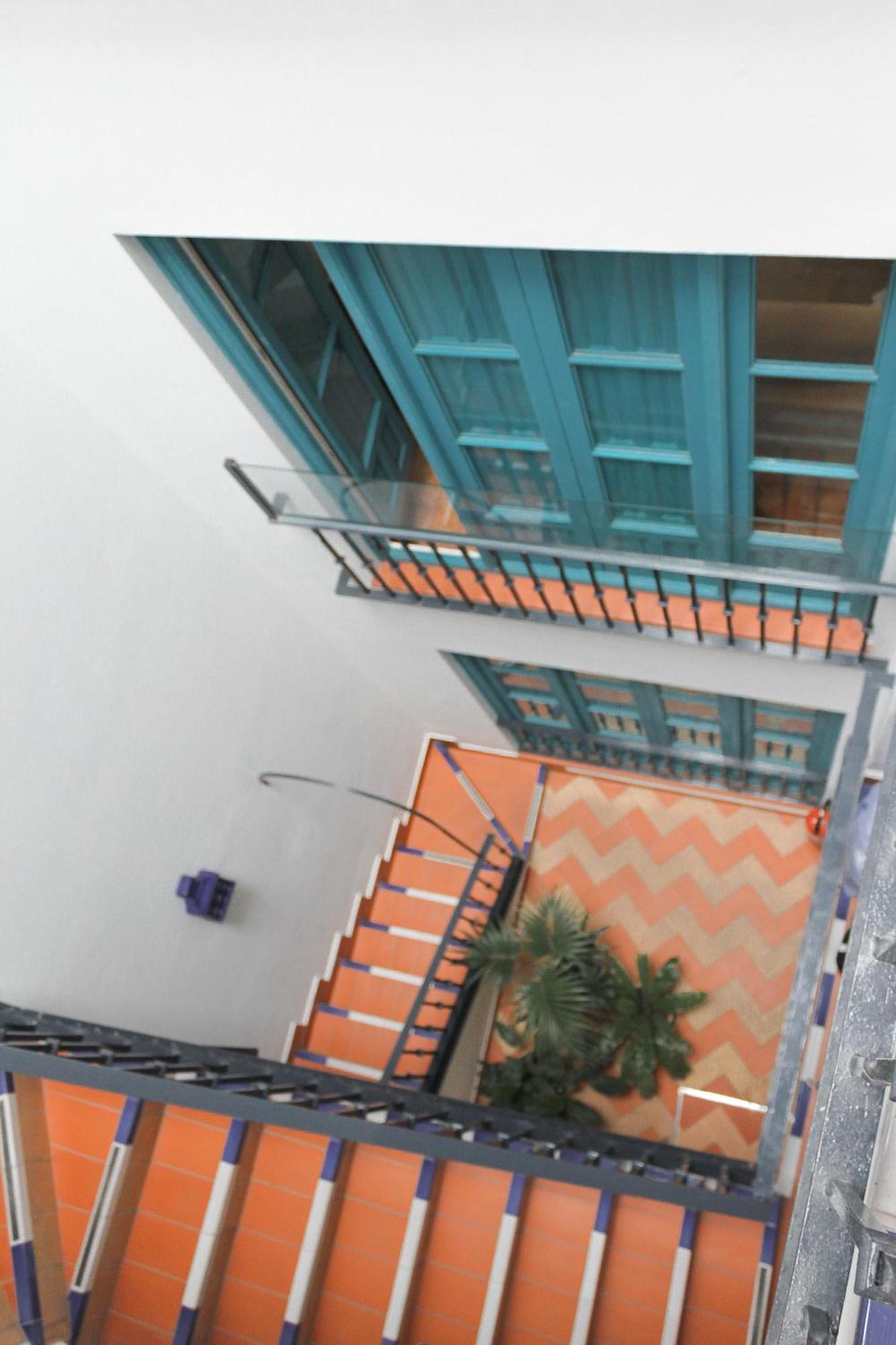 Monkeys Pureza House Seville