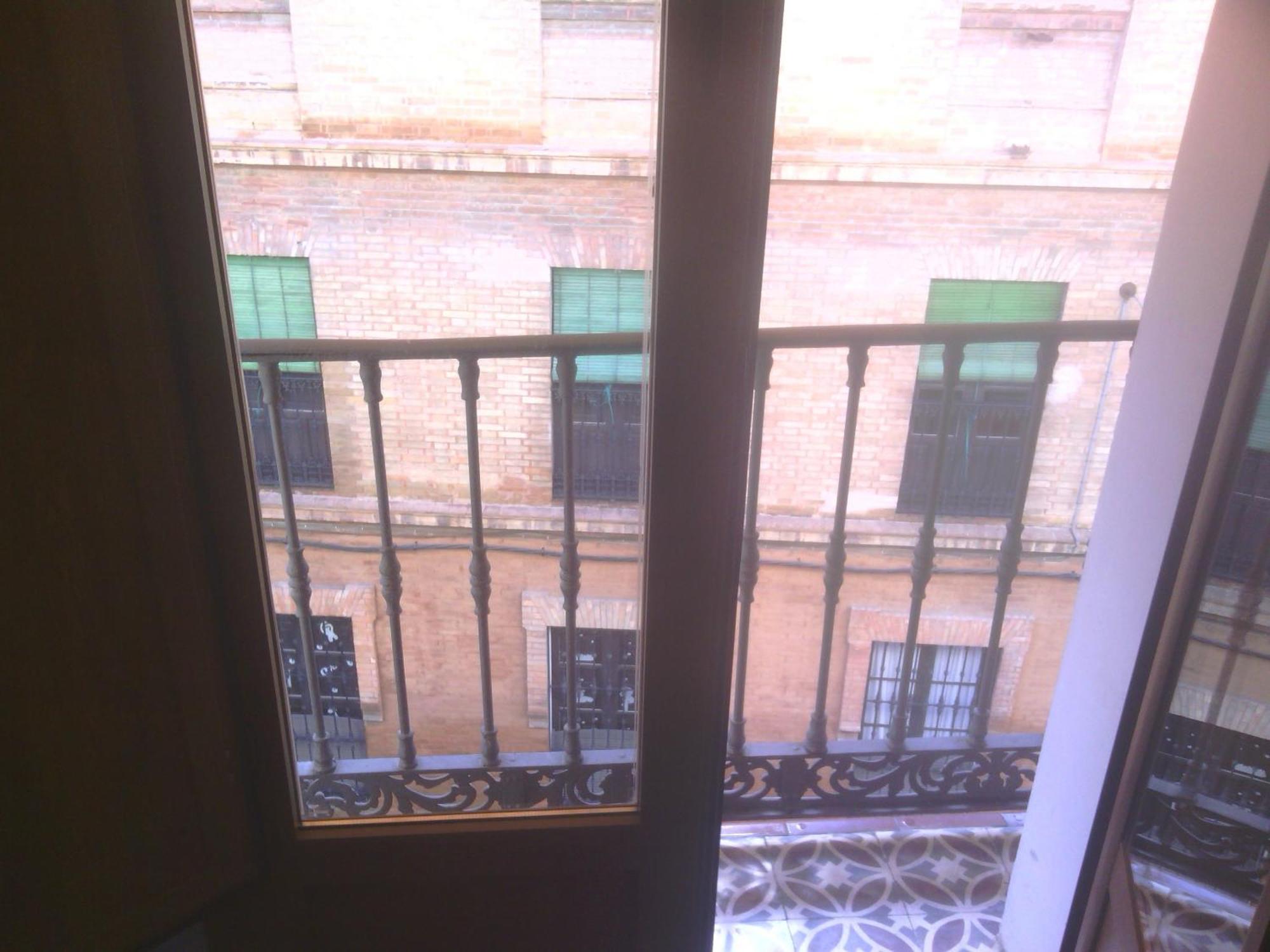 Goya Seville