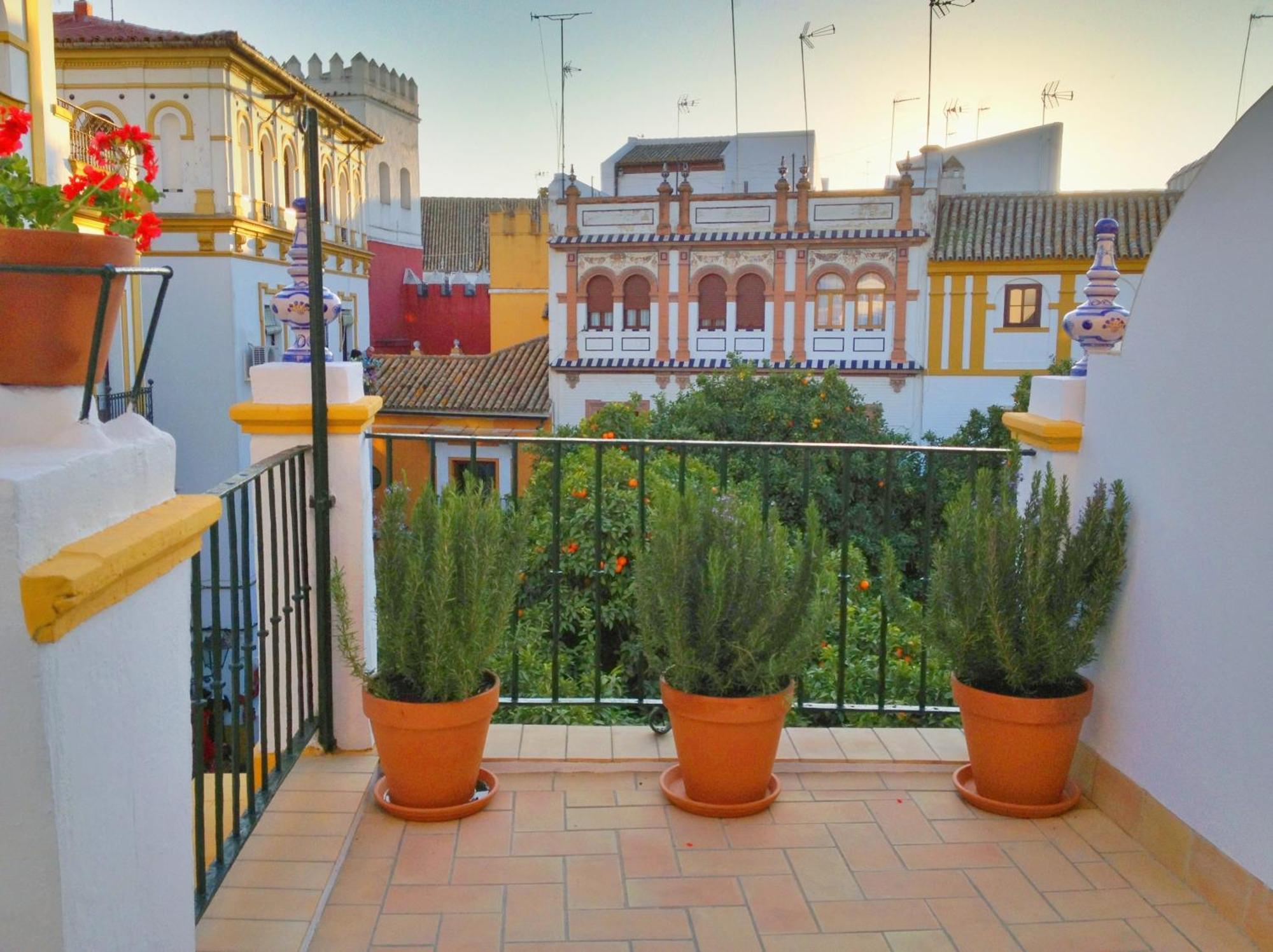 Boutique Elvira Plaza Sevilla