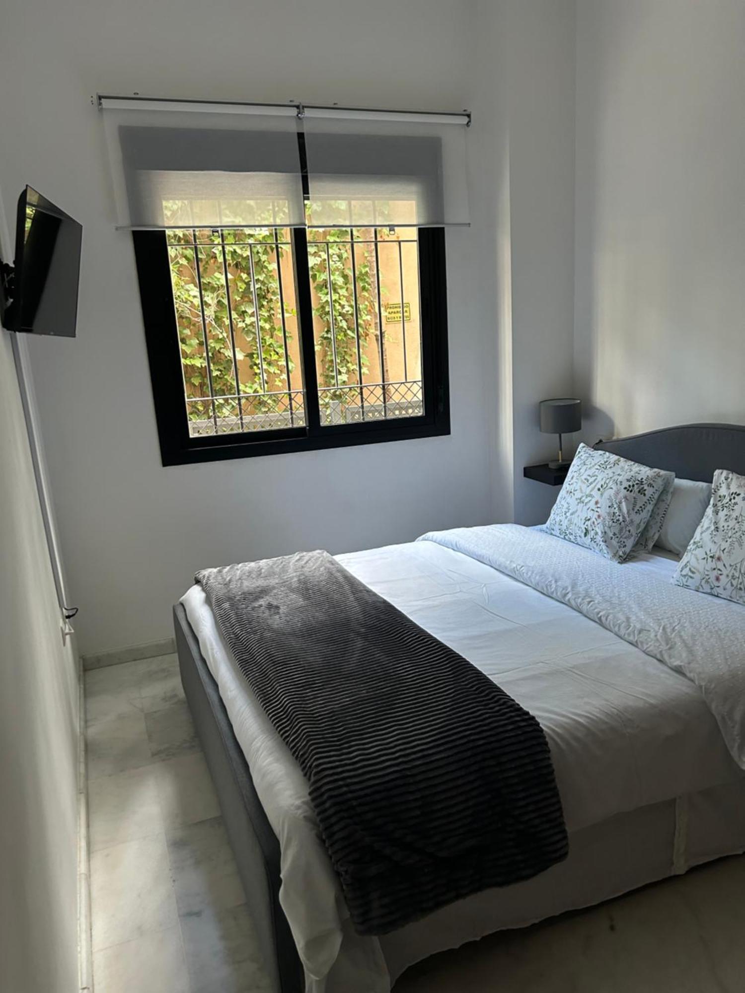 Proximo Al Centro De 2 Con Piscina. Apartamento Sevilla