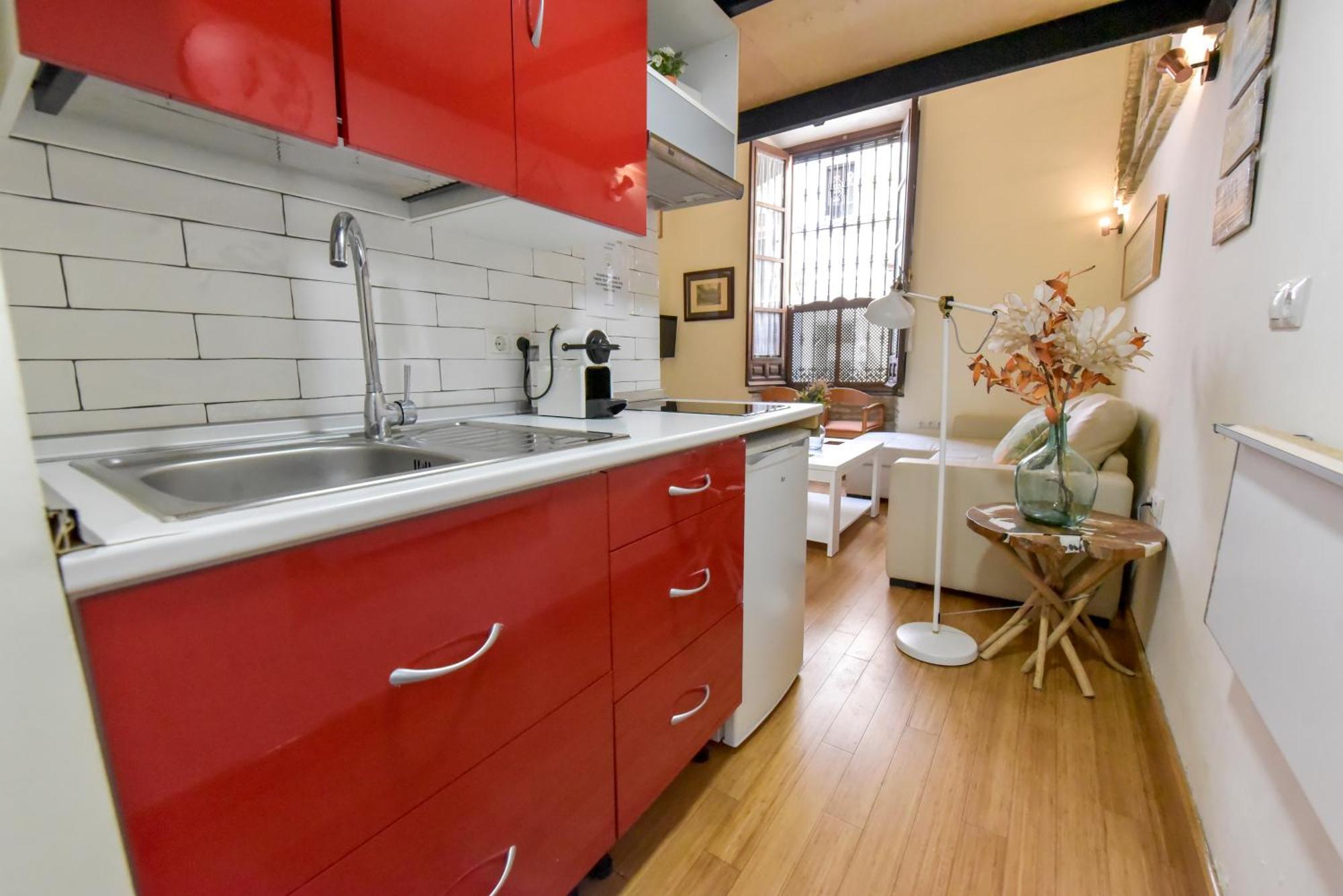Apartment New! Exclusive Loft-duplex Justa - Only Adults Seville