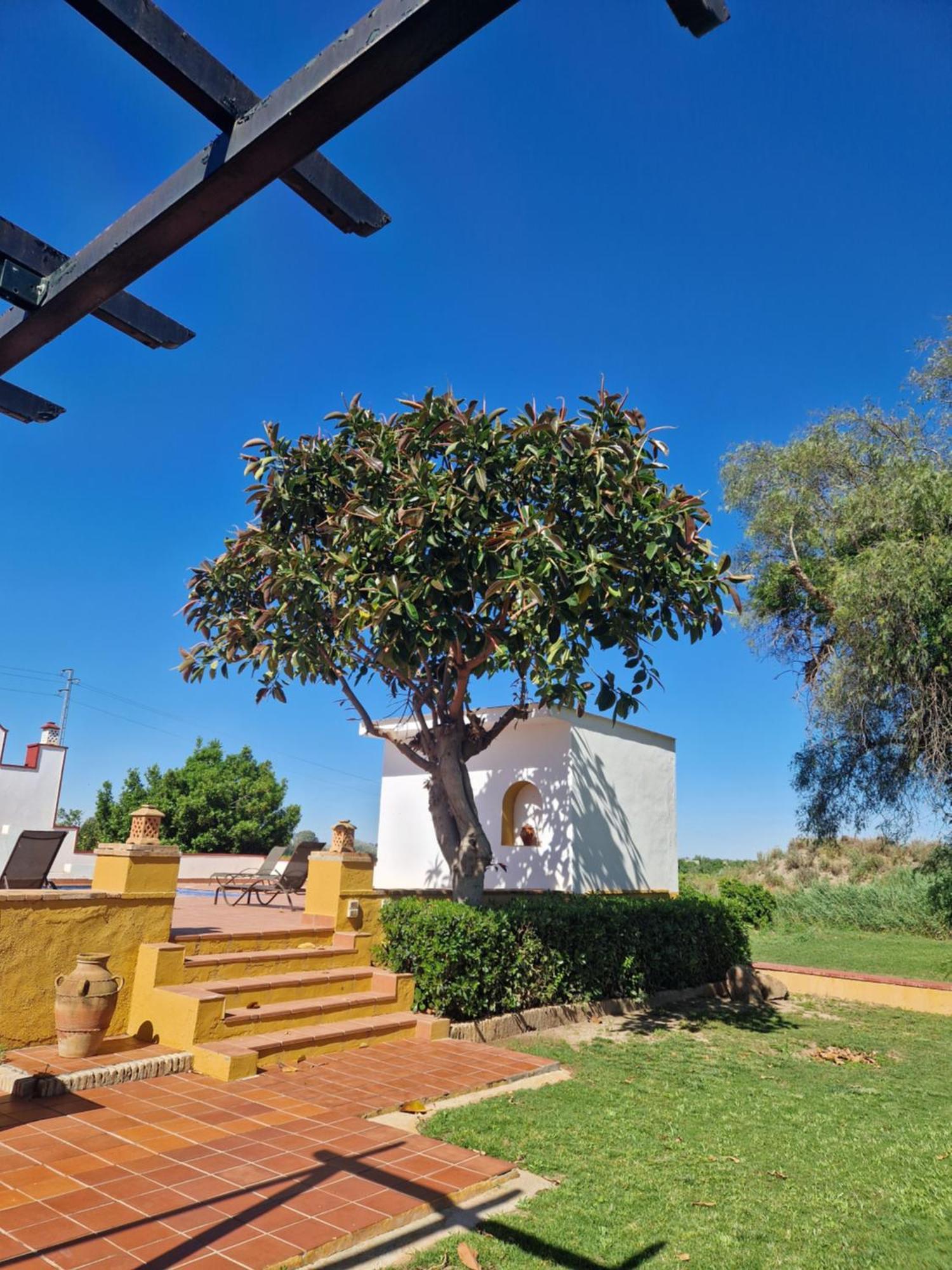 Precioso Cortijo Con Piscina Y Chimenea! Holiday home