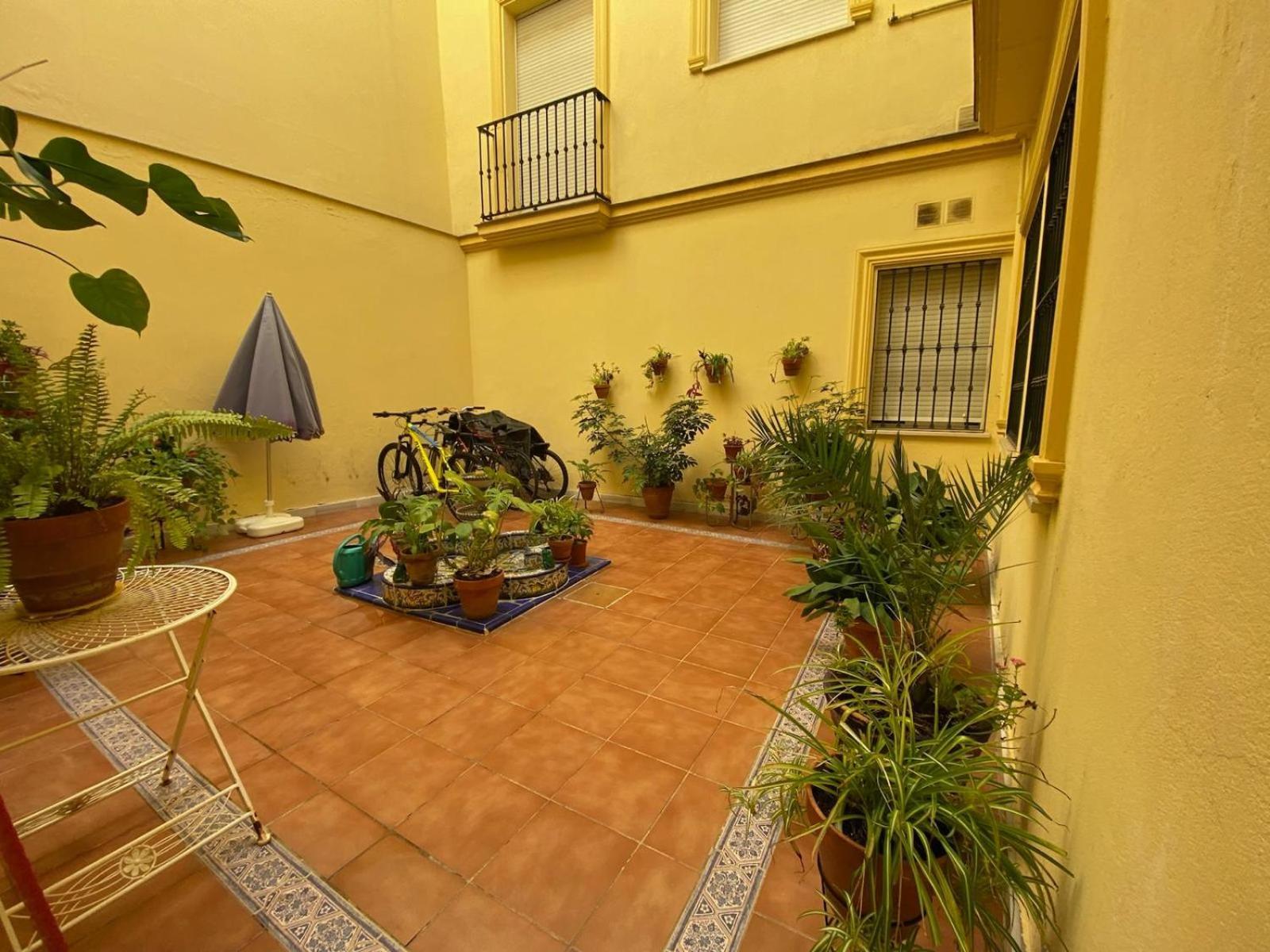 La Azotea Del Sol Sevilla