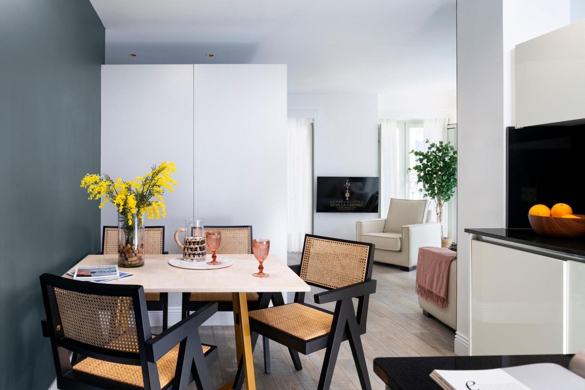 Centro Apartment Seville