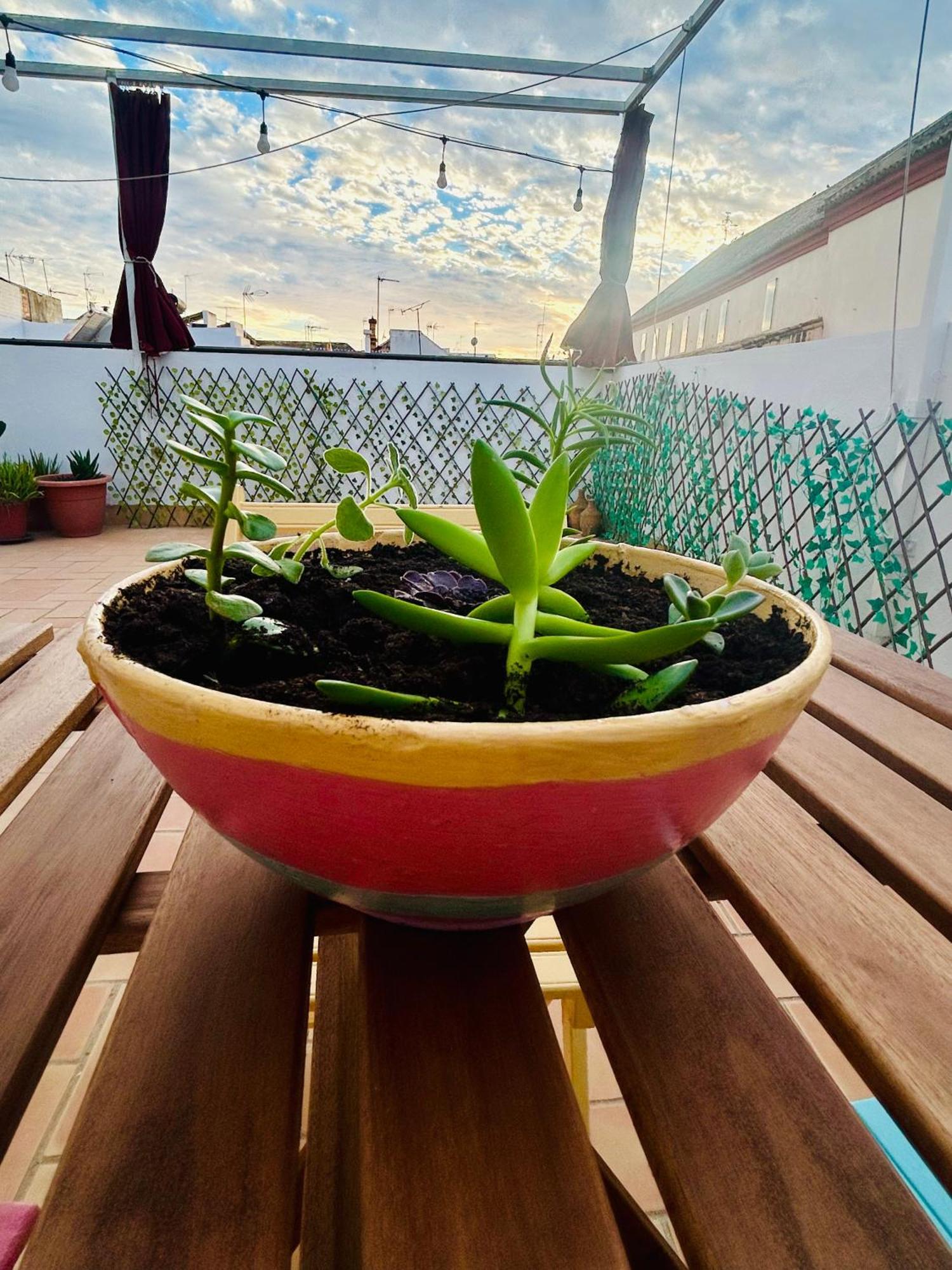 La Azotea Del Sol Apartamento *
