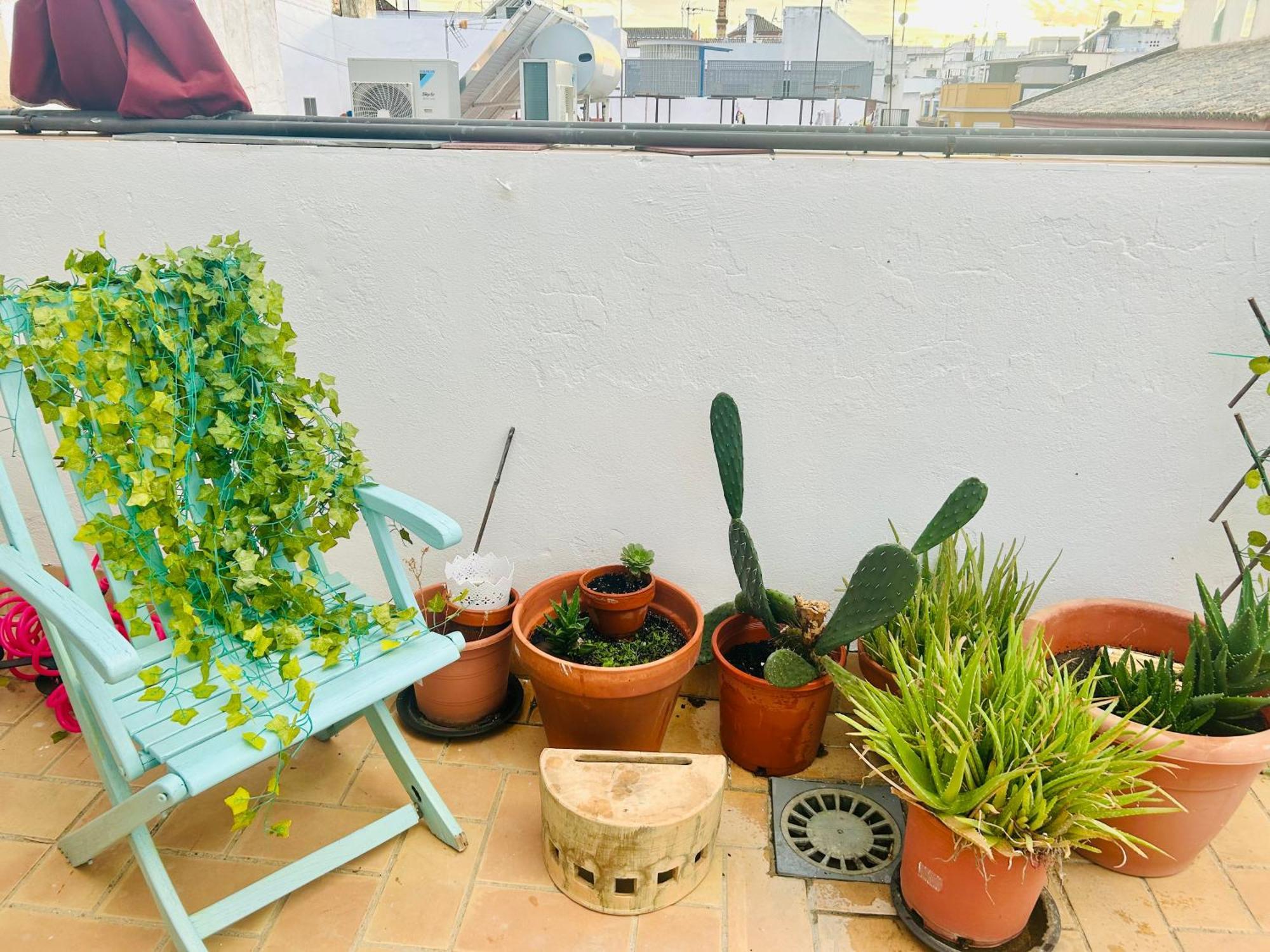 Apartamento La Azotea Del Sol