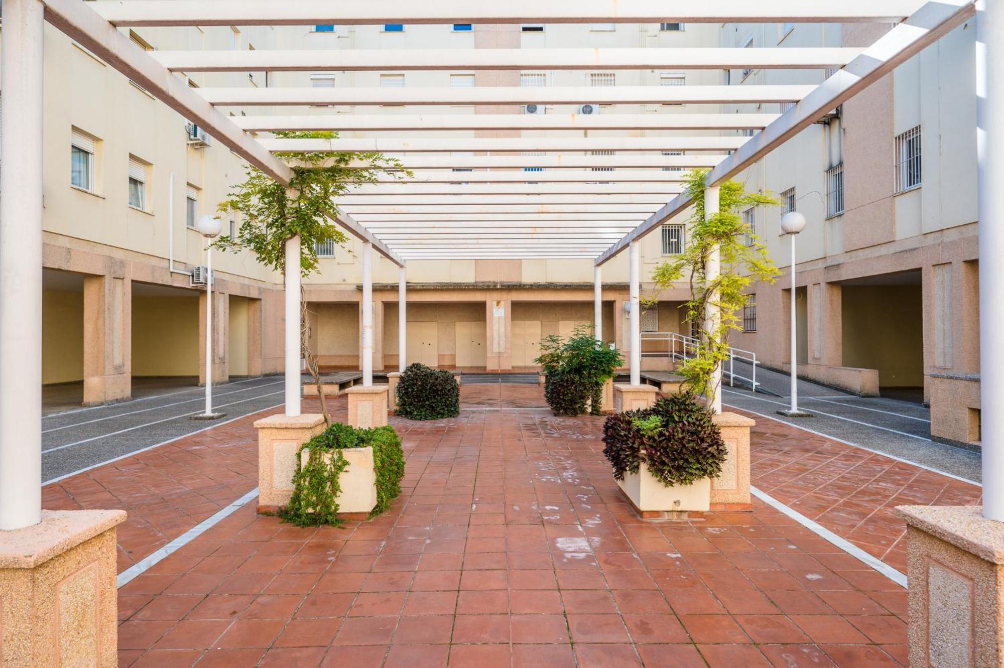 Apartamento Piso Familiar Virgen Del Rocio