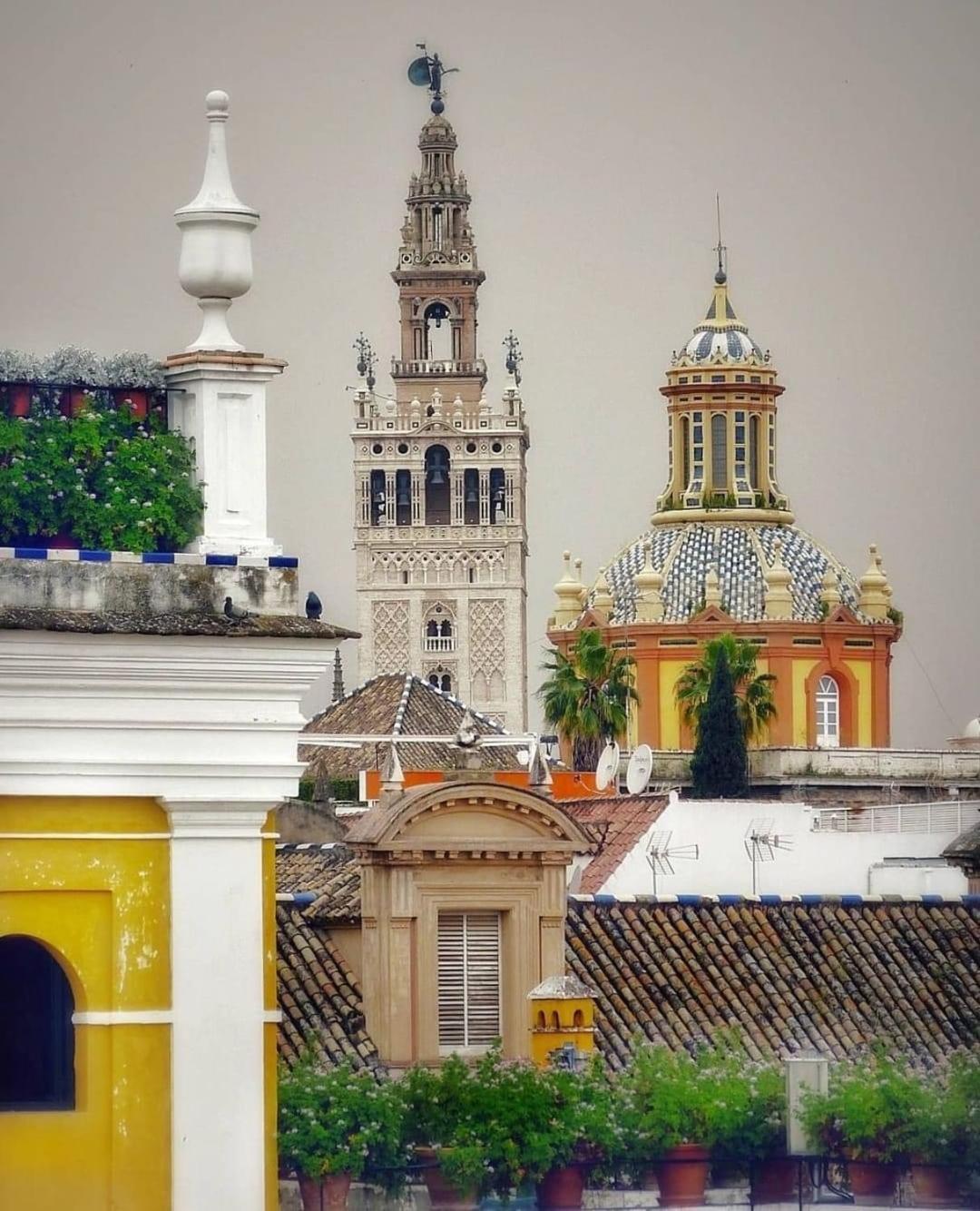 La Azotea Del Sol * Sevilla