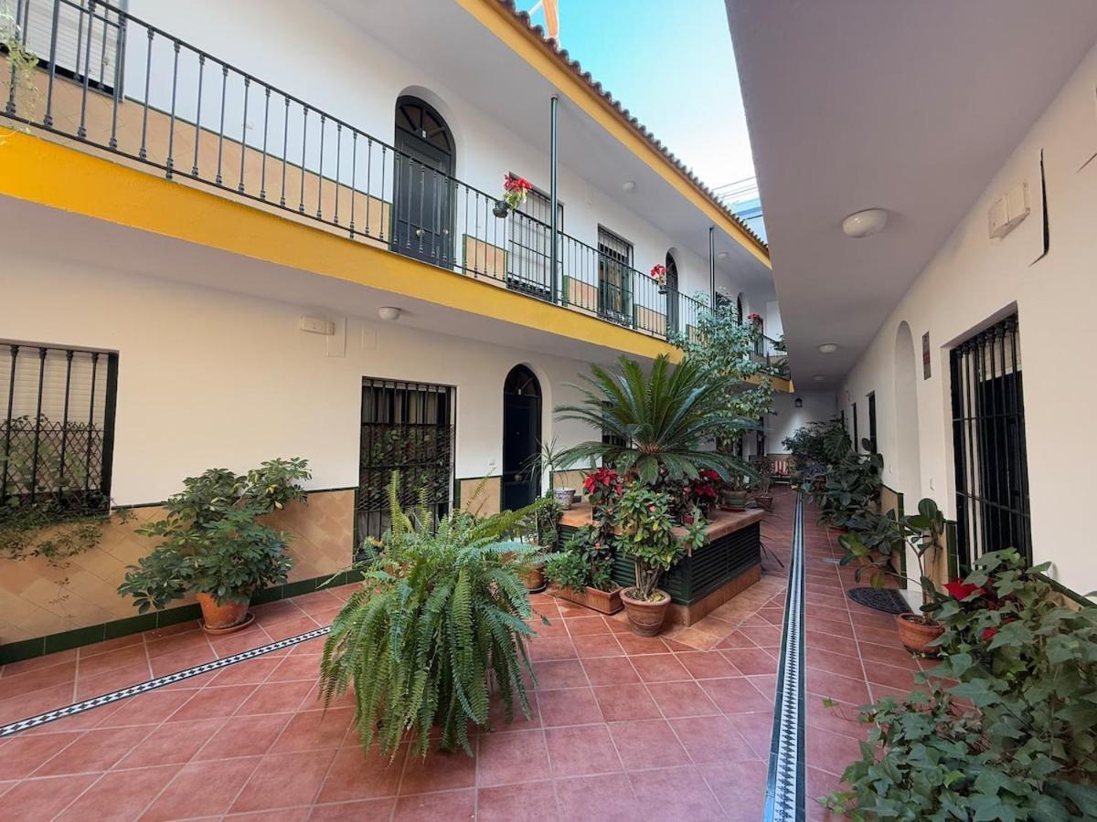 Apartment Atico Duplex En El Centro De *