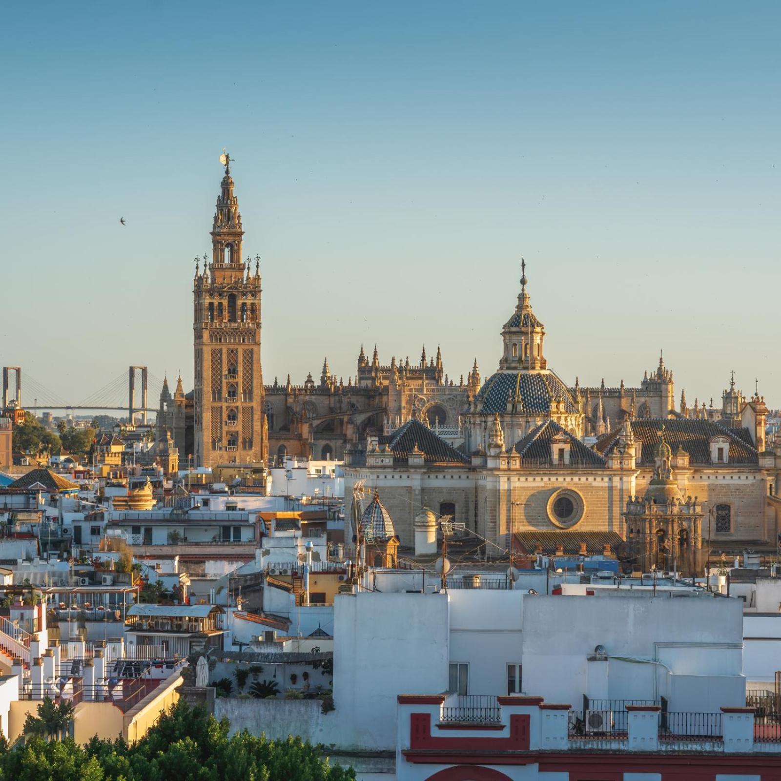 Manzana Seville
