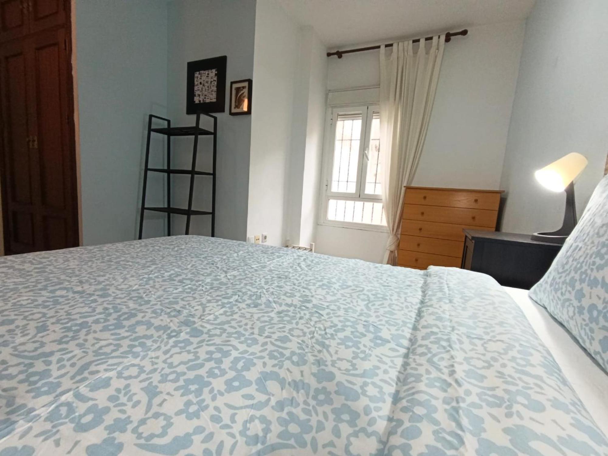 Duplex San Martin Roof Apartment Seville