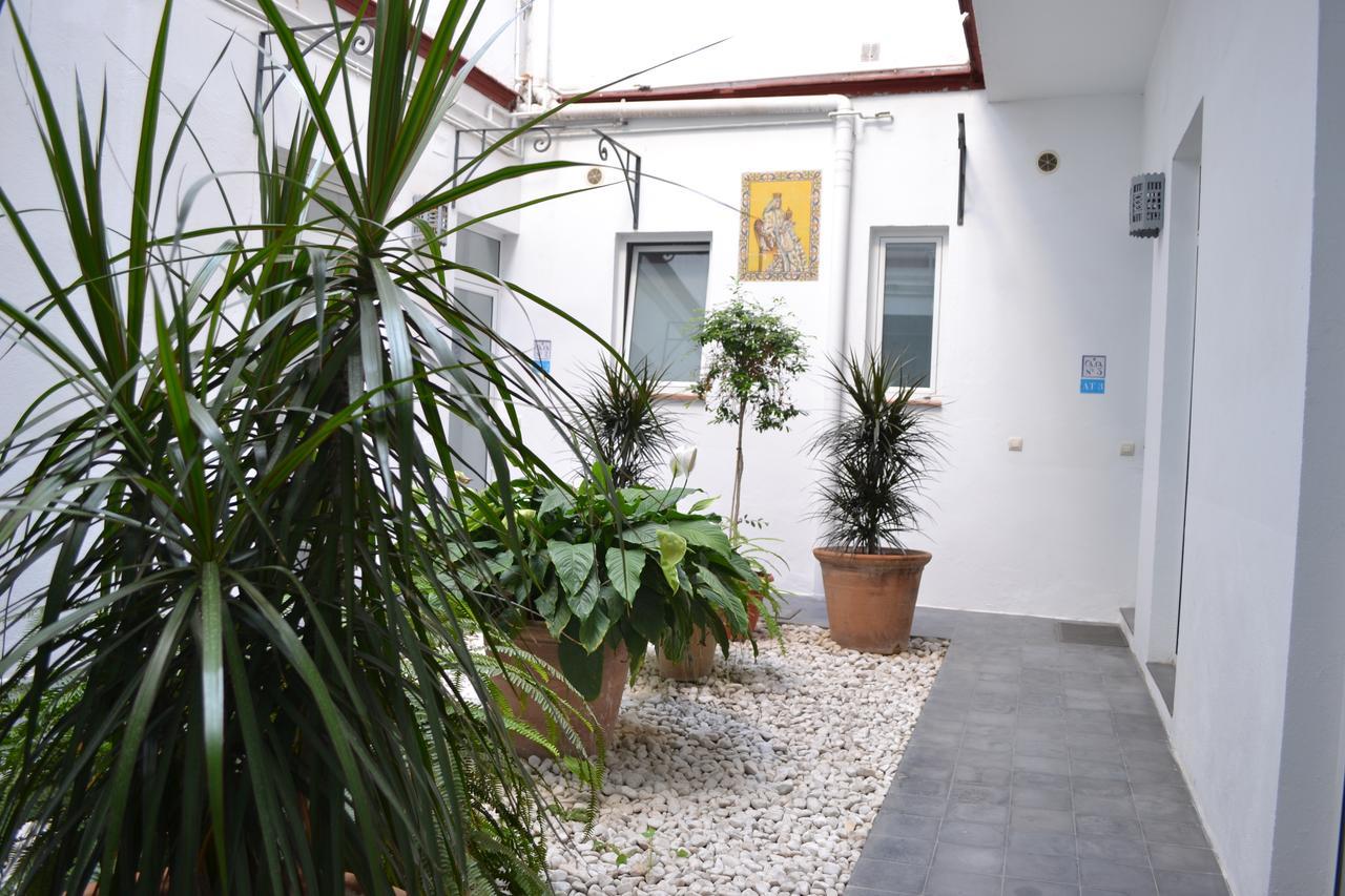 Casas Y Patios De Seville