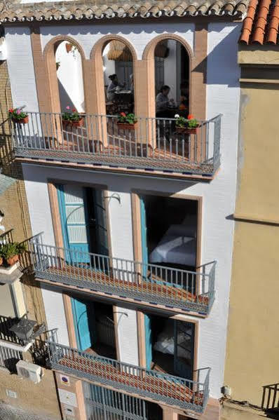 Monkeys Pureza House Seville