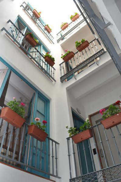 Apartment Monkeys Pureza House