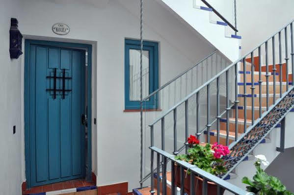 Monkeys Pureza House * Seville
