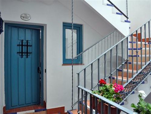 Monkeys Pureza House Seville