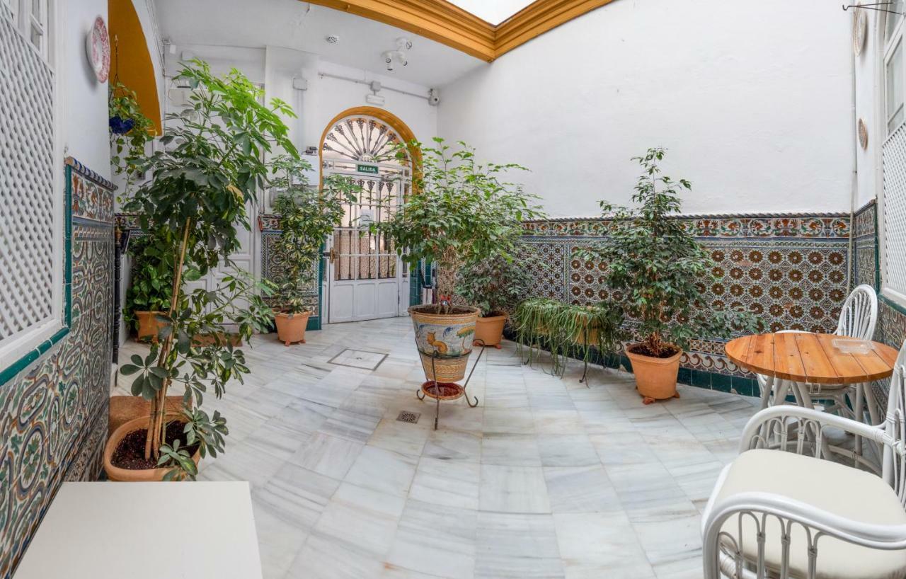 Atico La Juderia V33 Apartment