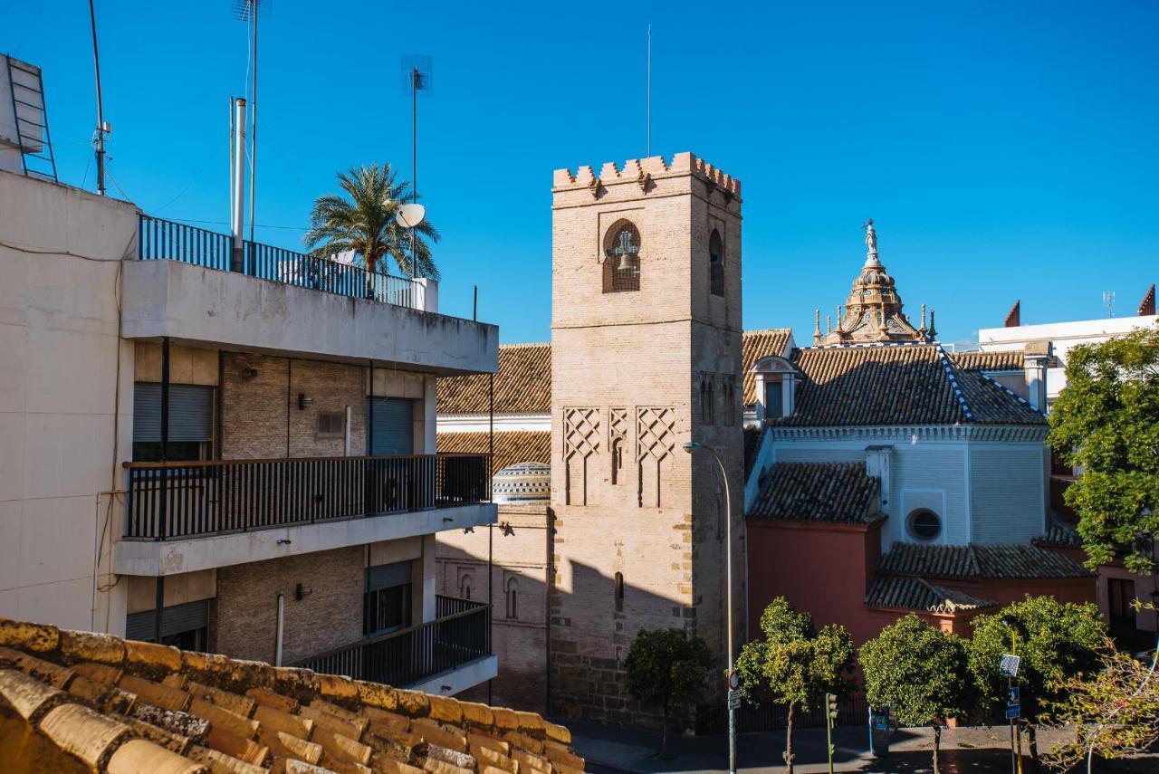 Divi Centro *