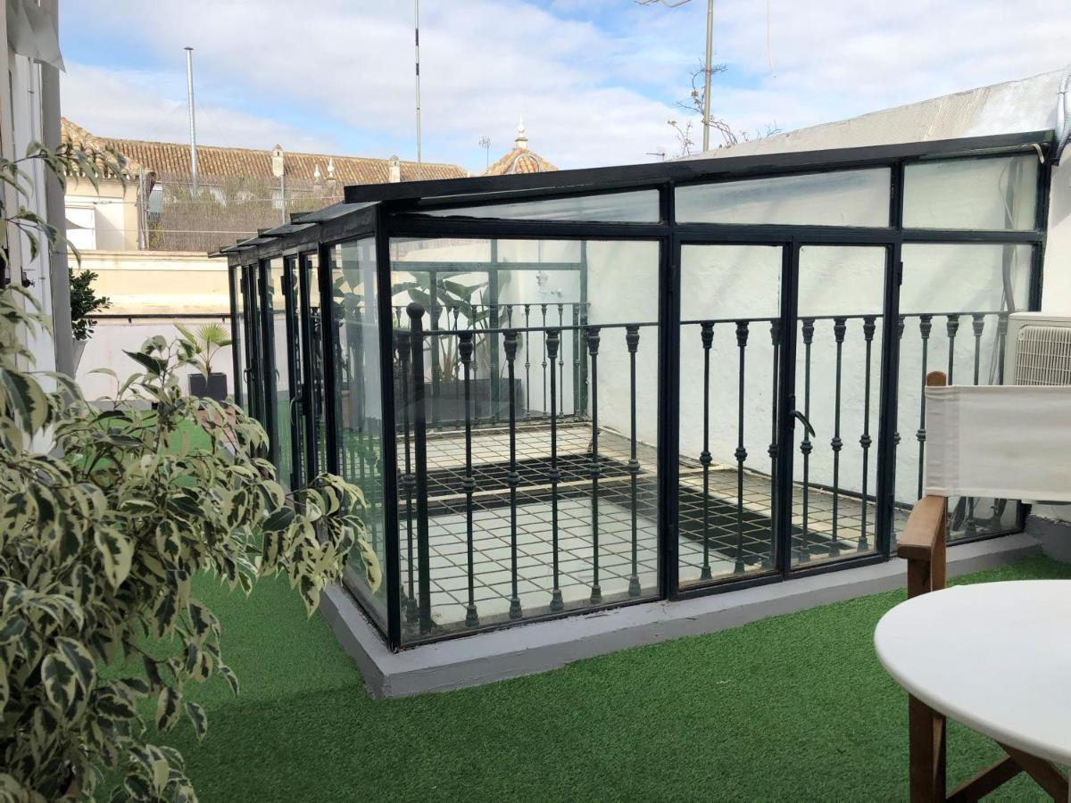 Atico La Juderia V33 Apartment Seville