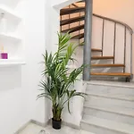 Guesthouse Room & Studio Seville La Flamenka