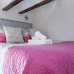 Santa Clara Chic Apartment