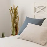 Avanti Murillo, Elegance & Comfort