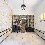 Joy Plaza De Armas
