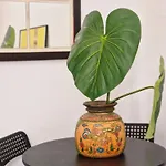 Las Naranjas De Reina Mercedes