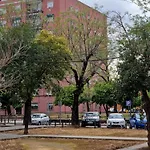 Las Naranjas De Reina Mercedes