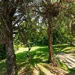 La Casona Lujo Y Relax En Sevilla