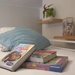 Apartamento Pilar De Gracia