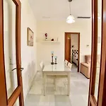 Alohamundi Zaragoza