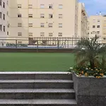 Buhaira
