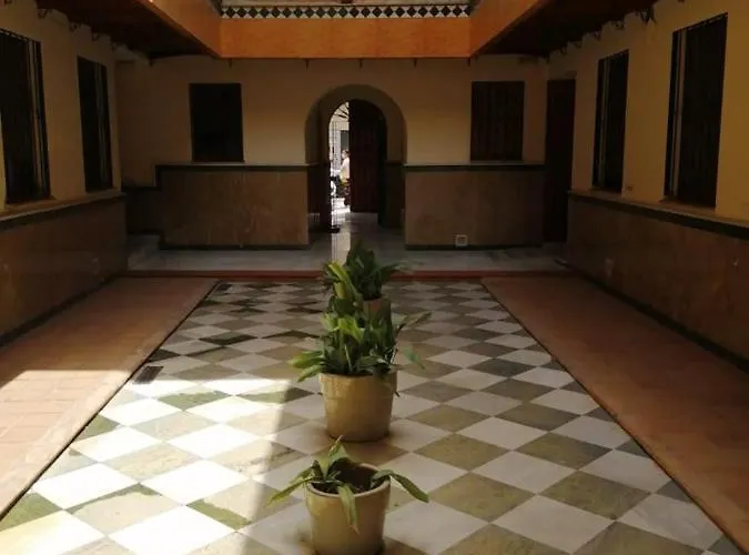 Wish Suite Morera