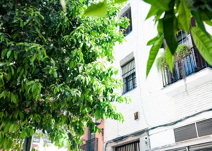 Alohamundi Cruz Verde