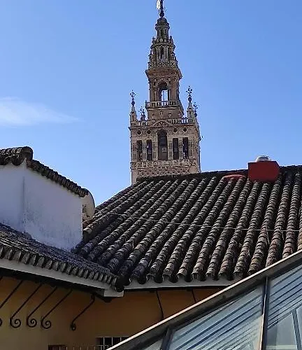 Conteros Sevilla Urban