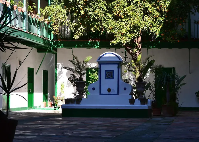 Estudio Las Setas I