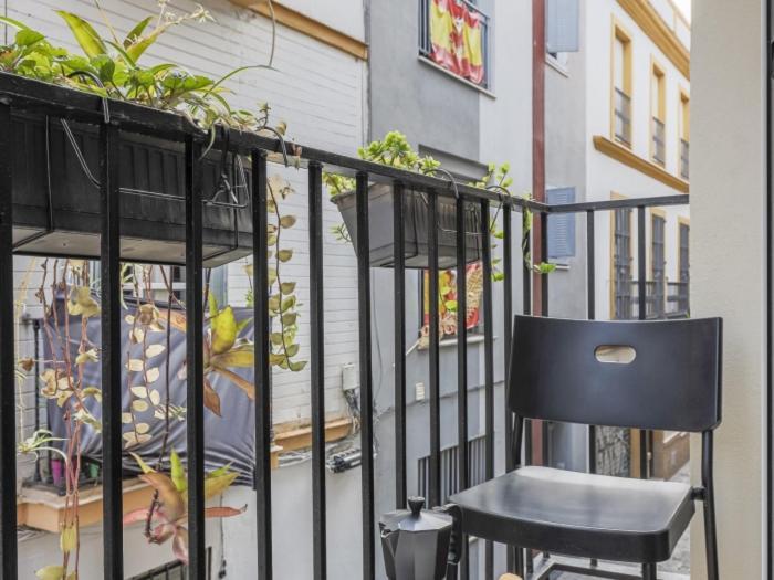 Apartment San Lorenzo Casco Antiguo *