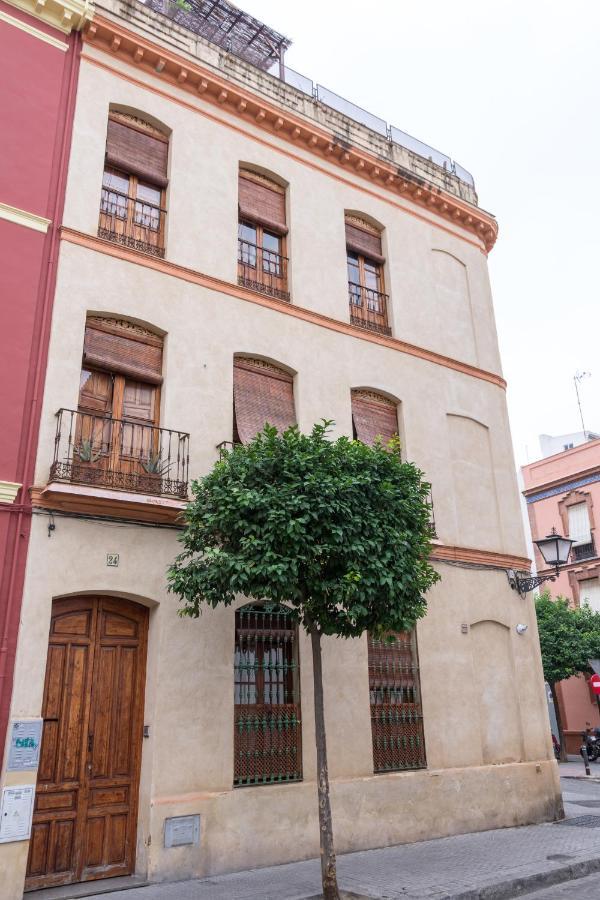 Alameda Hostel *