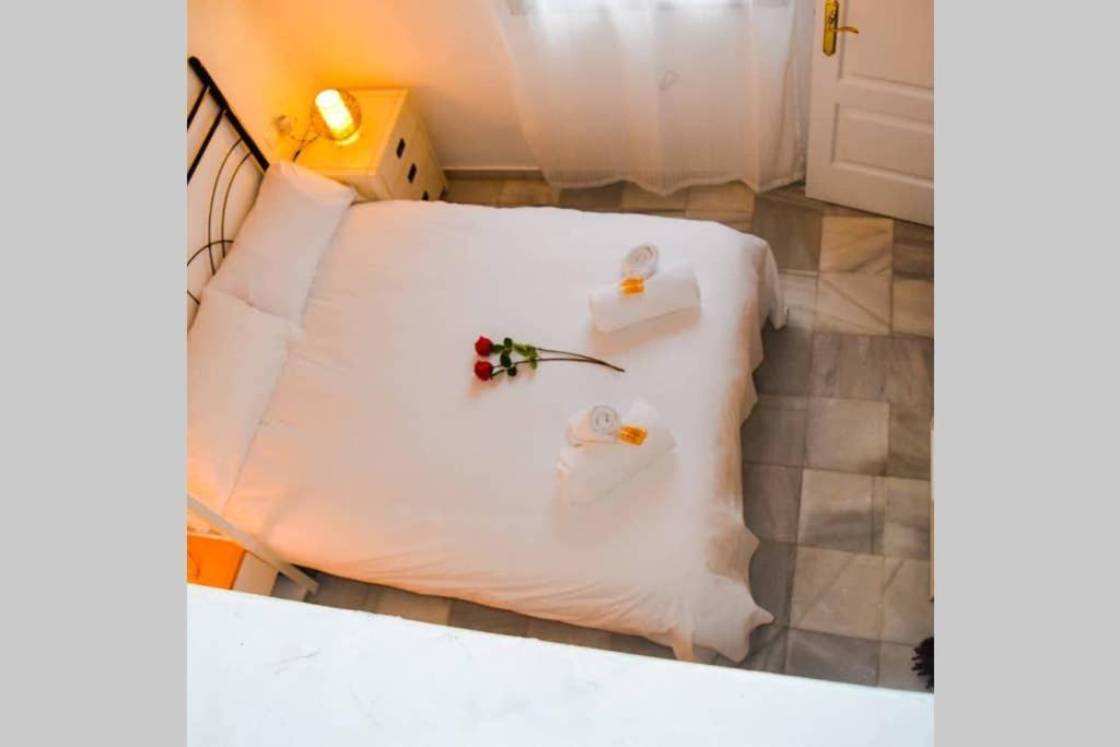 Atico Centrico Plaza Moravia ,san Julian. Apartment Seville