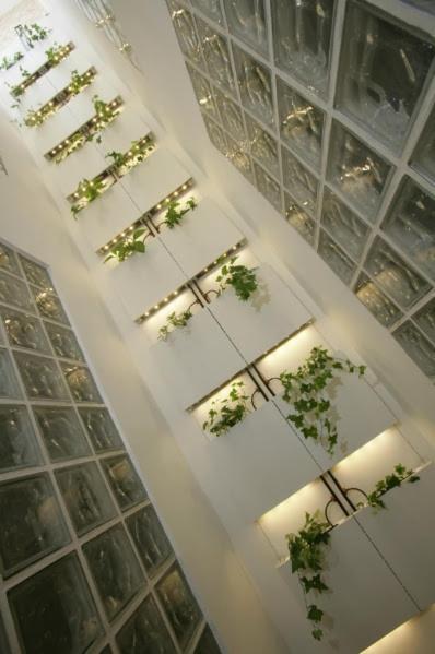 Apartment Wish Palacios Malaver