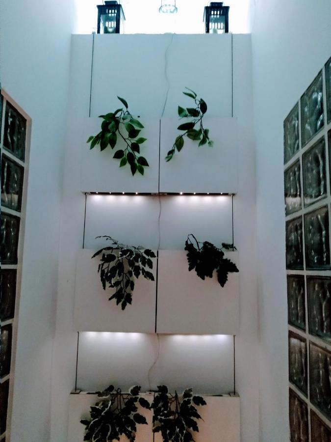 Apartment Wish Palacios Malaver *