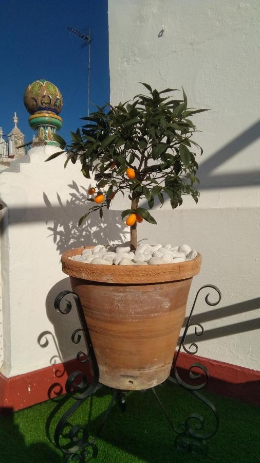 Casa Flores Holiday home