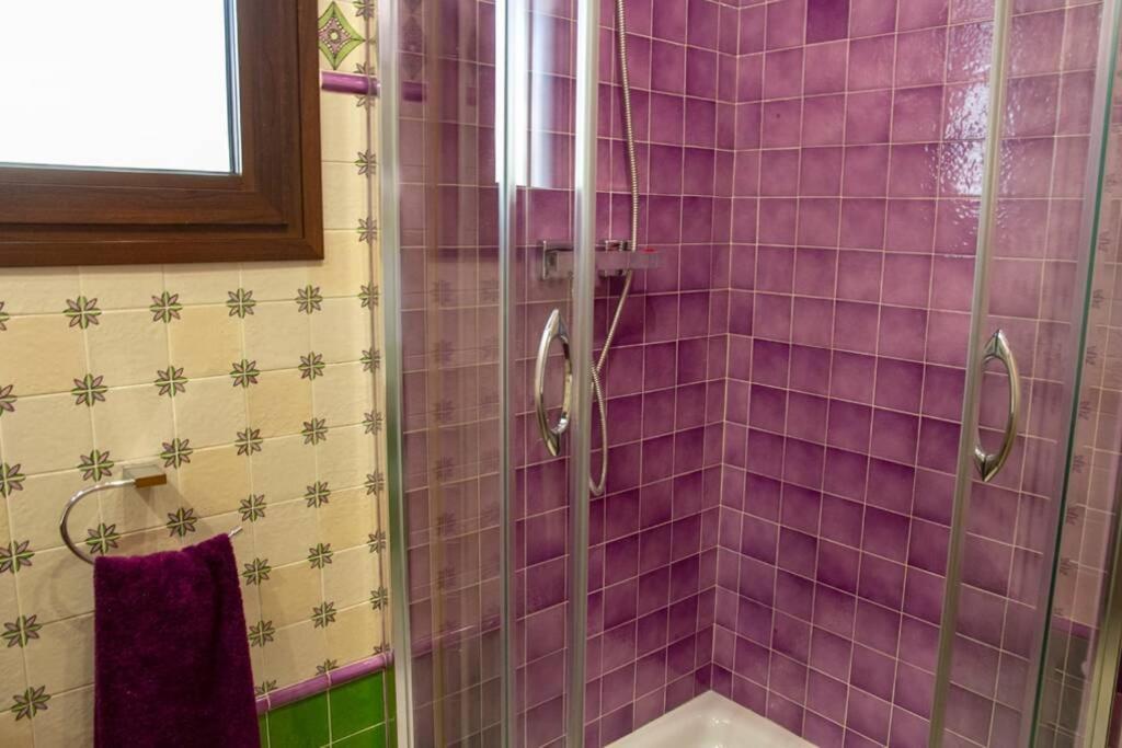 Apartment Penthouse Raggio *