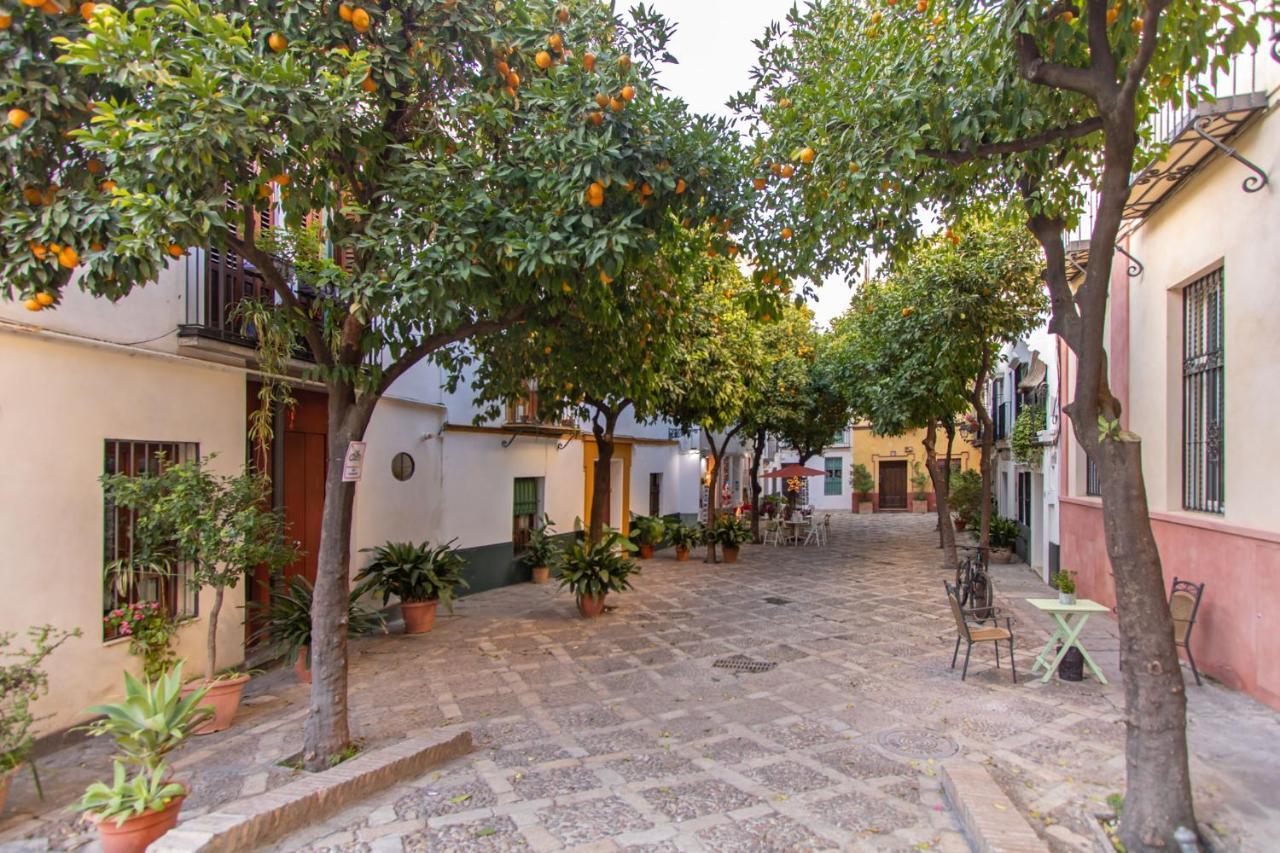 Apartamento Abades Giralda View By Valcambre