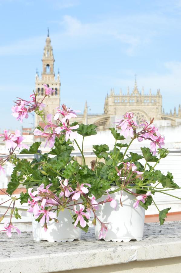 Apartment Homeyseville-amazing Penthouse Giralda Views 8 Pax, Parking Optional *