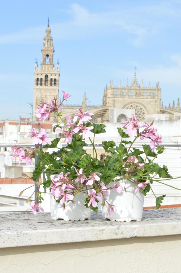 Homeyseville-amazing Penthouse Giralda Views 8 Pax, Parking Optional *