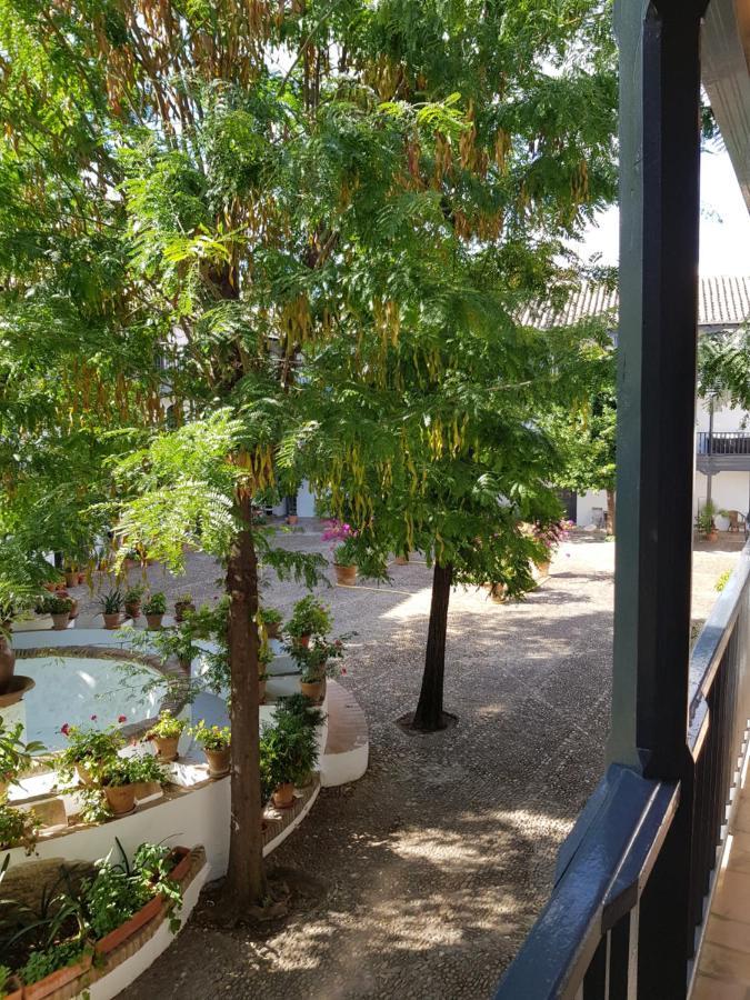 Apartment Patio Andaluz Siglo Xvi Seville