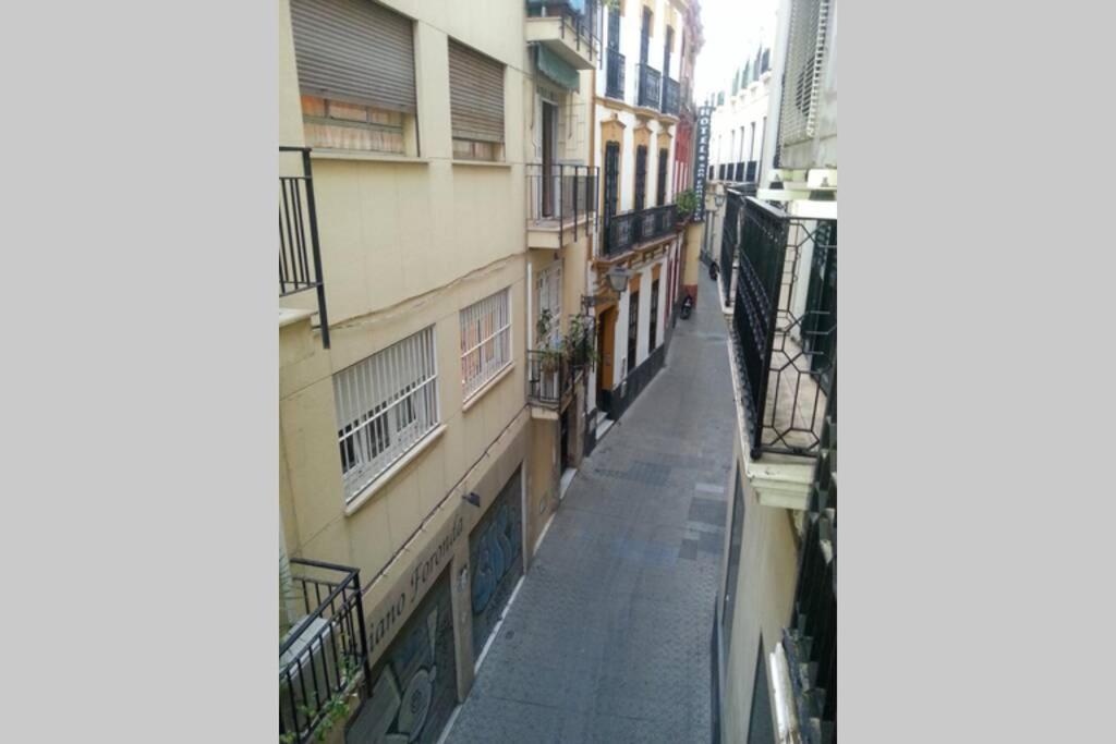Apartment Loft Con Encanto En Casa Palacio Junto Catedral Wifi *