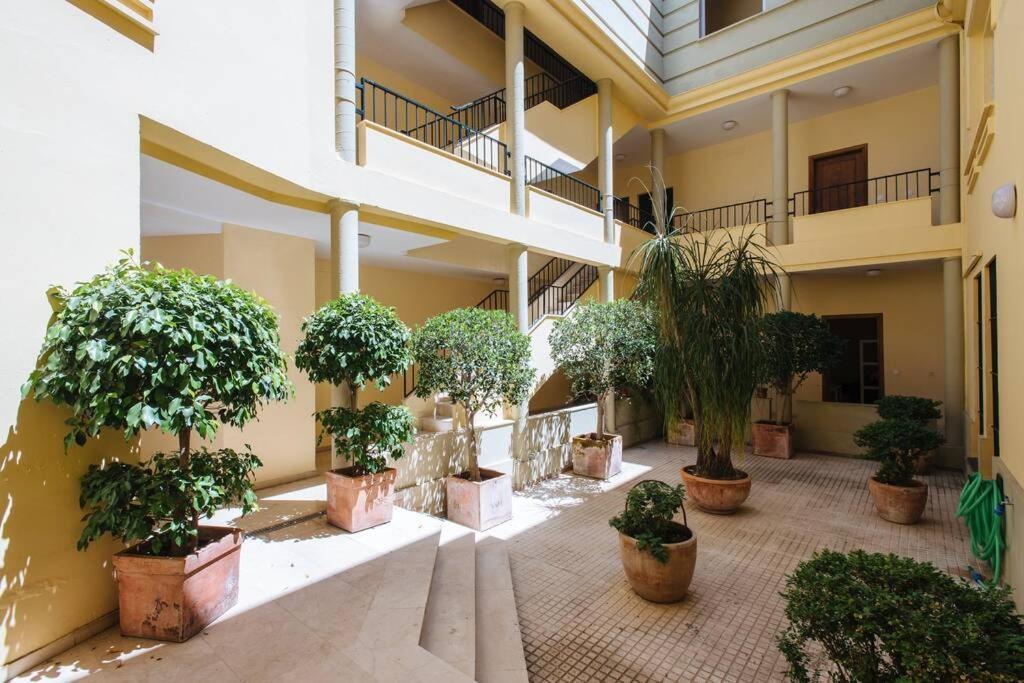 Cozy And Well Located In The Center Of Apartment *
